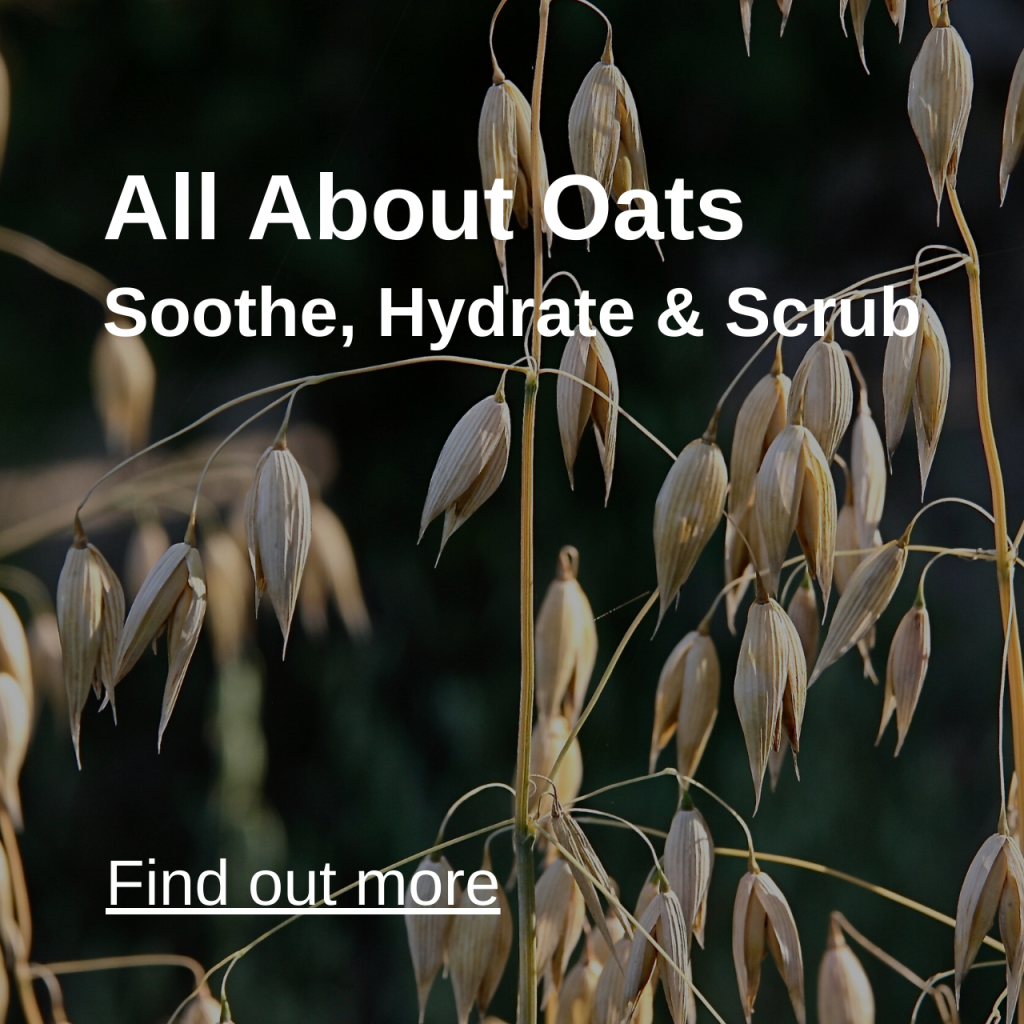 All Aboout Oats